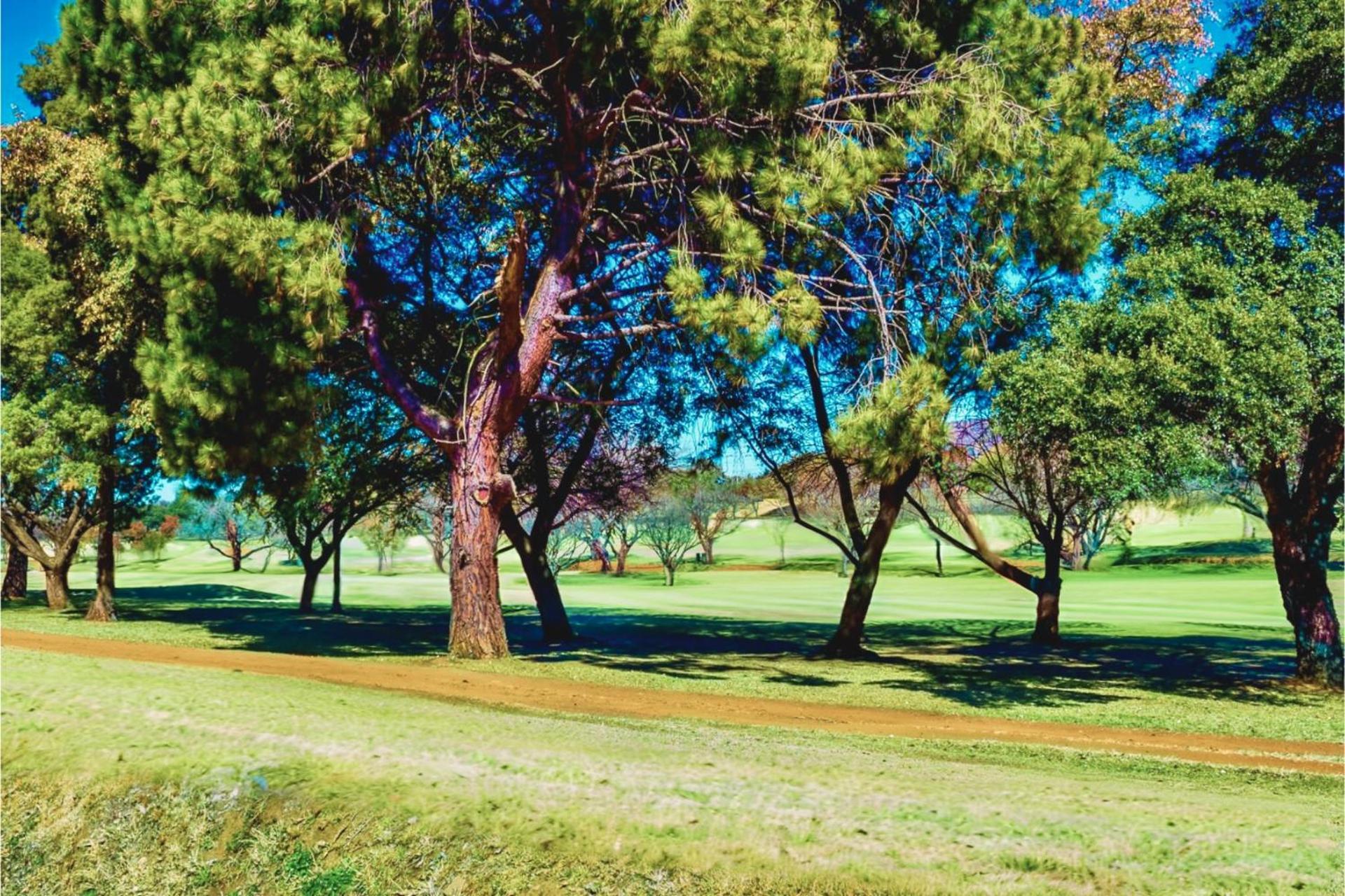 Glendower View Guest House Edenvale Eksteriør bilde