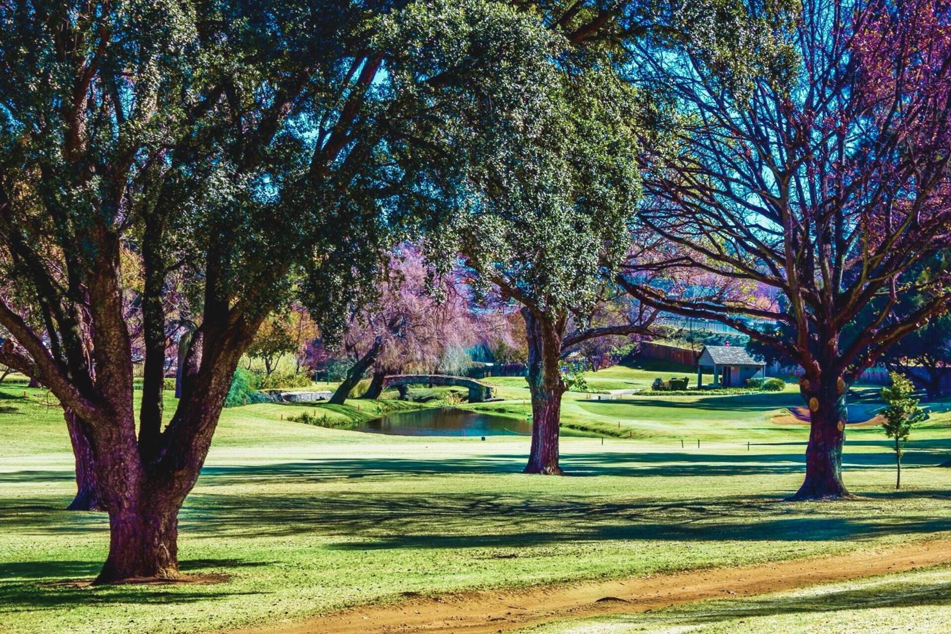 Glendower View Guest House Edenvale Eksteriør bilde